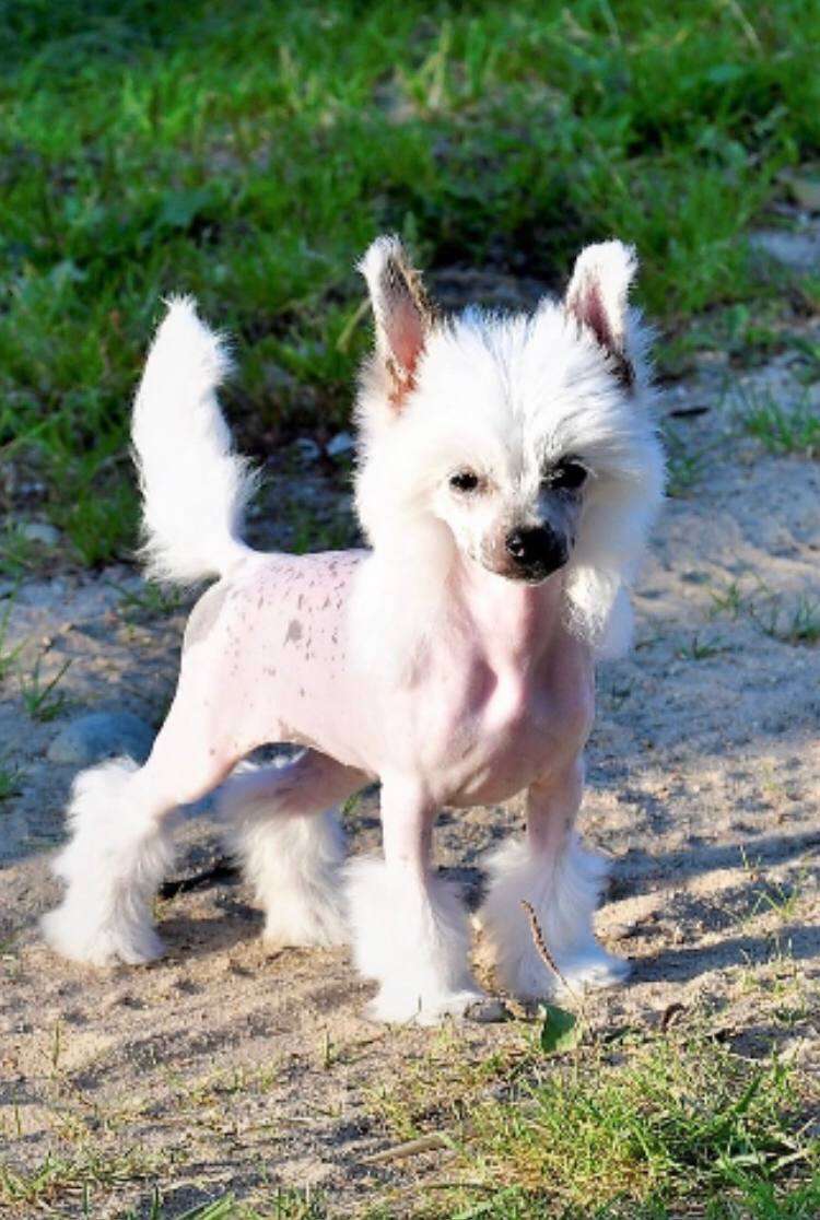 Mona Liza Winning Smile