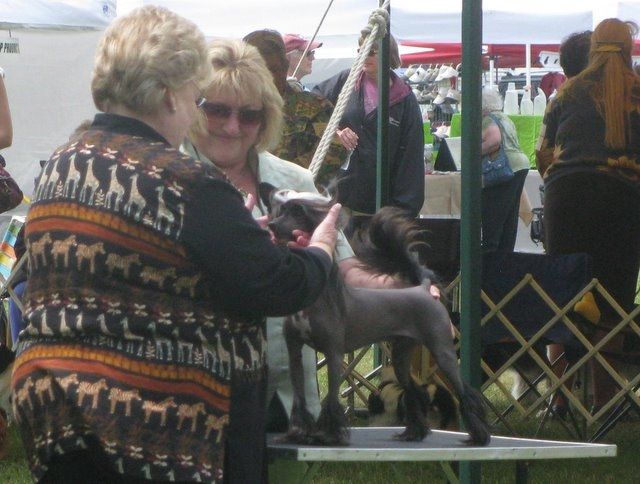 Talisman's National Treasure