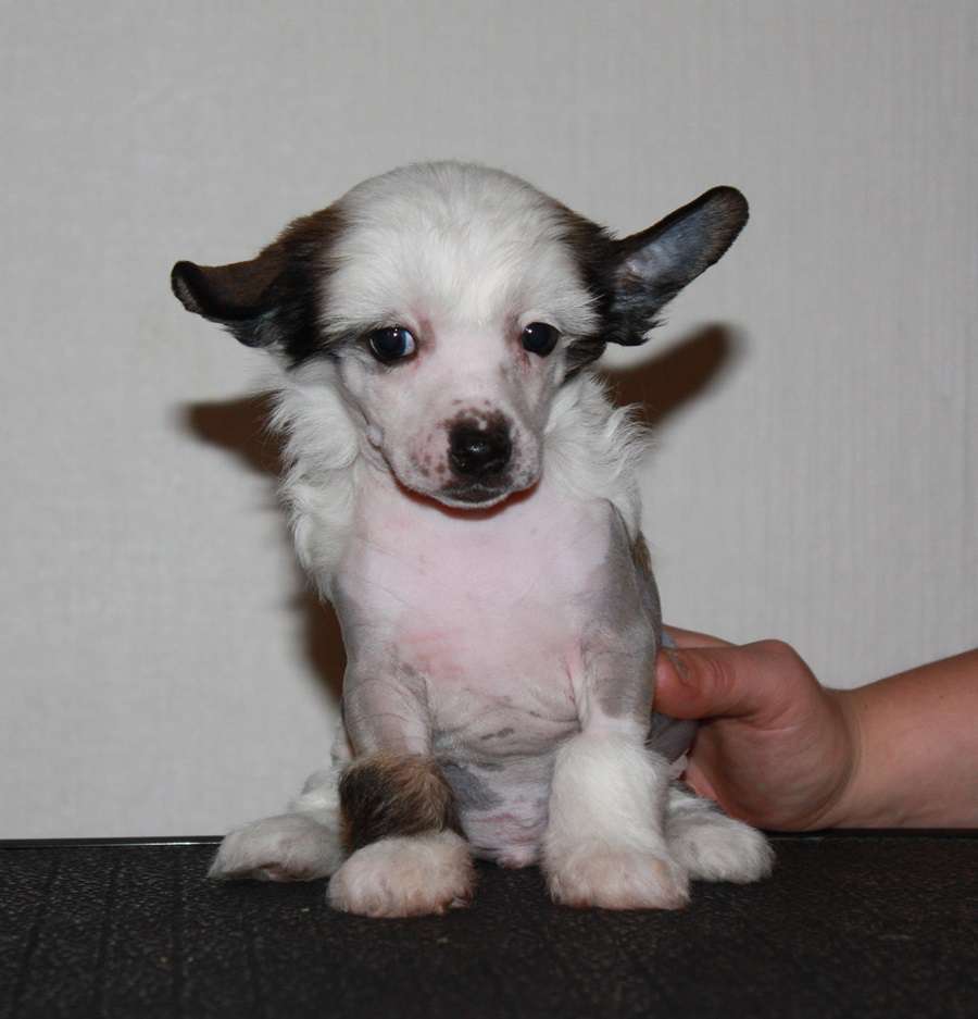 Viuvaun Ahaa Elämys