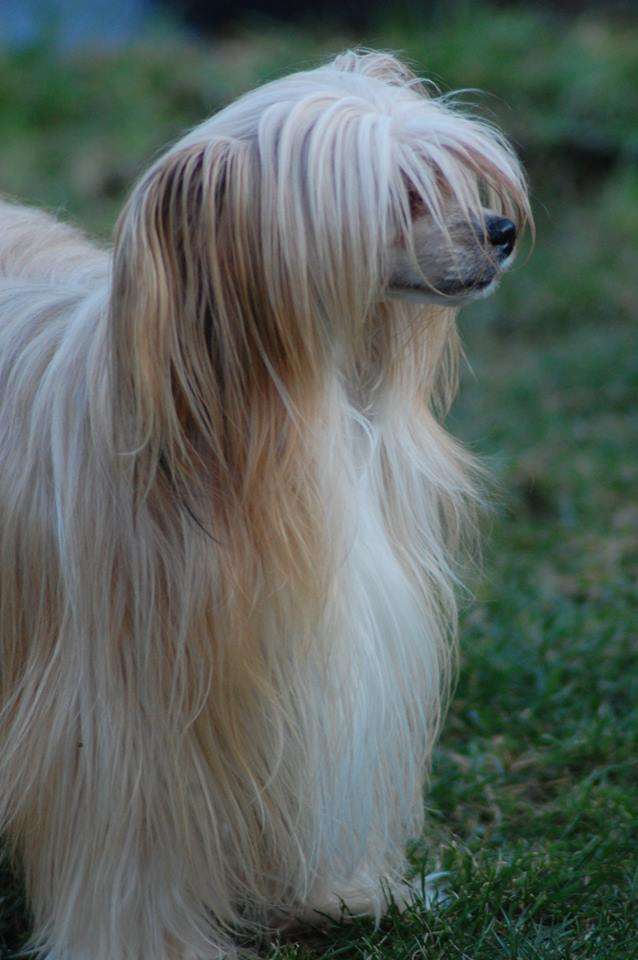 Il était une fois N. Our Precious  Diamond