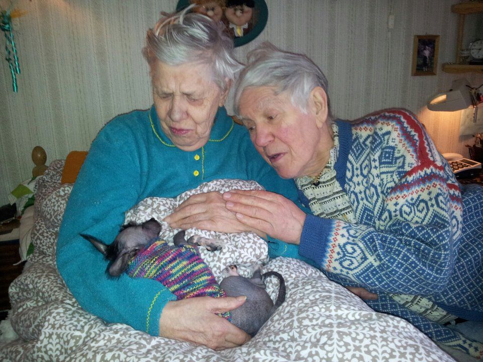 Sunstreaker Let E.T. Phone Home