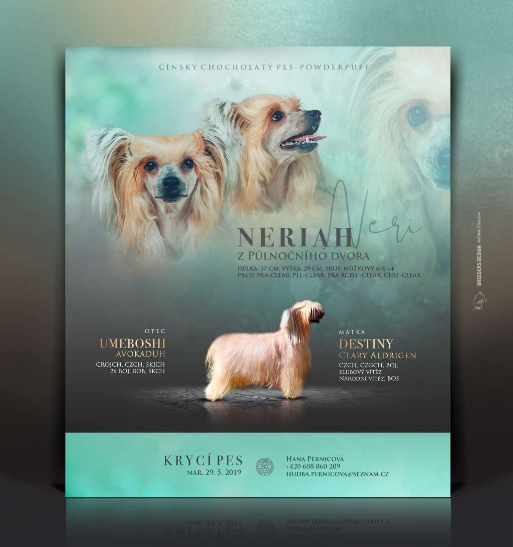 Neriah z Pulnocniho dvora