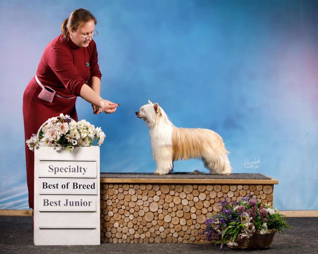 Aramis iz Sozvezdiya Khana