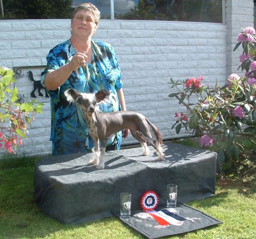 De La Mahafu's Celine D'eone