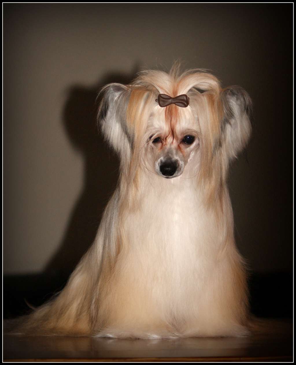 Isadora Bella Du Coeur Des Tenebres