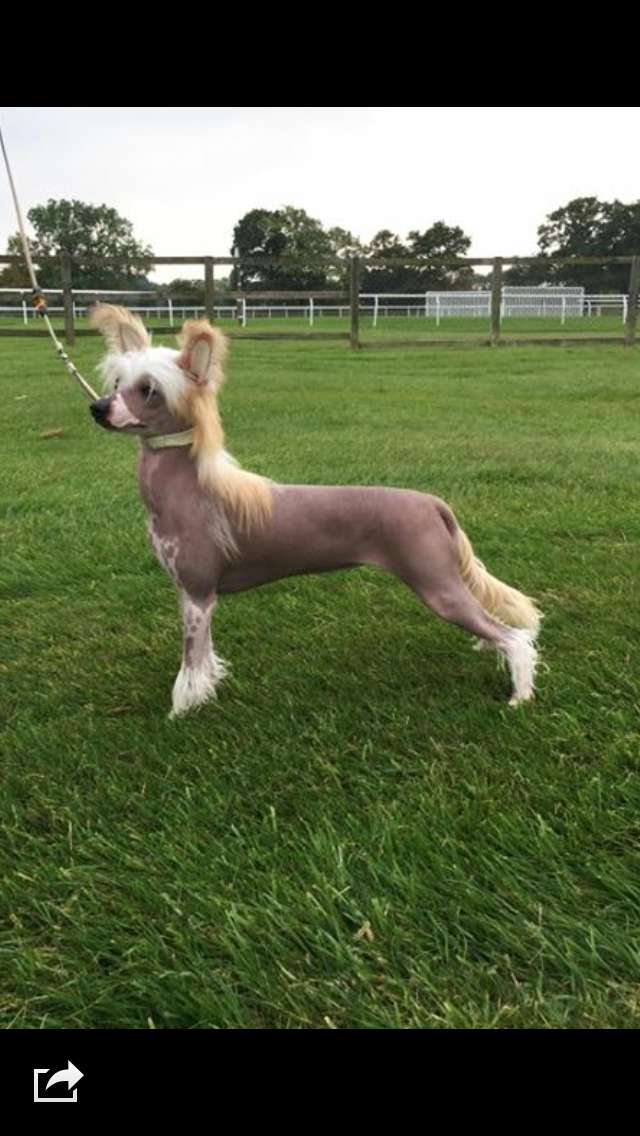 Myvallo Inclined To Be Heard