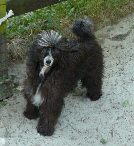 Initials BB Top Model De Rama