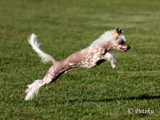 Zodellin Endless Nameless