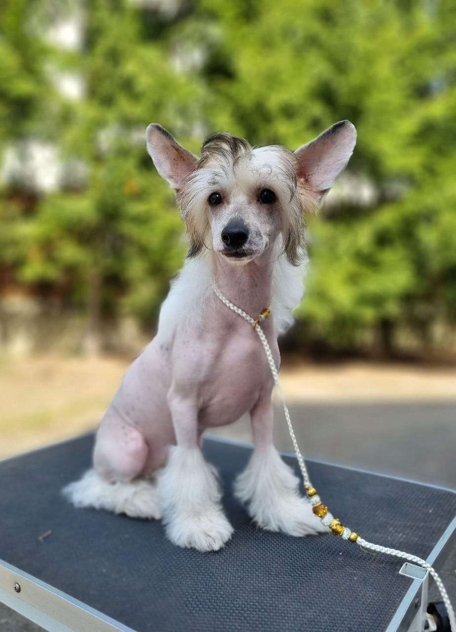 AkDeniz Eternal Sunshine