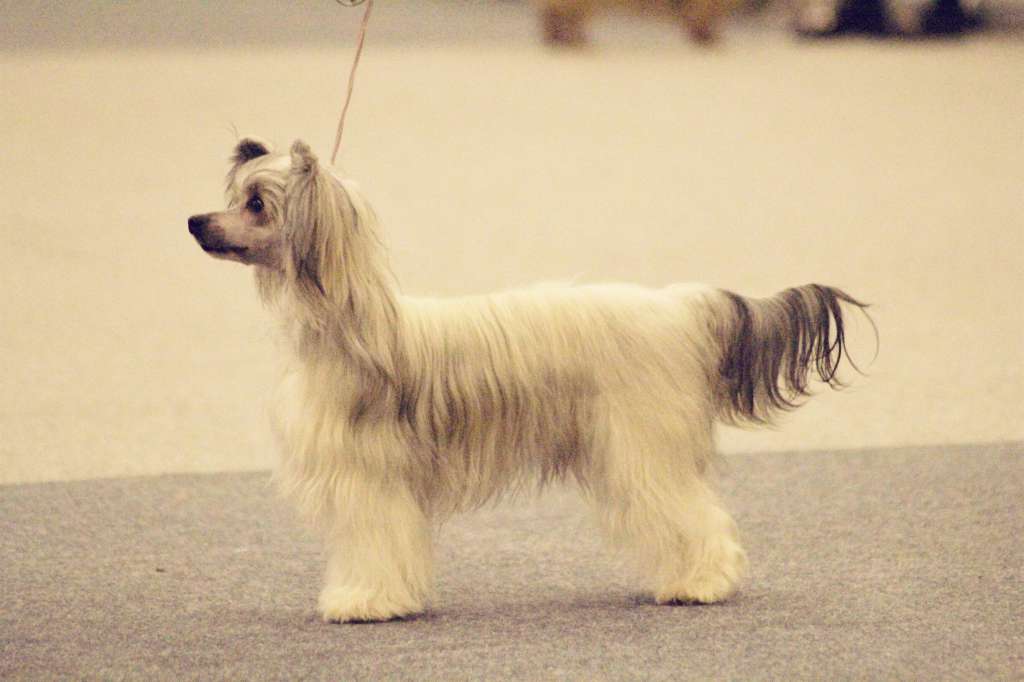 Maybell's Fool Me Once