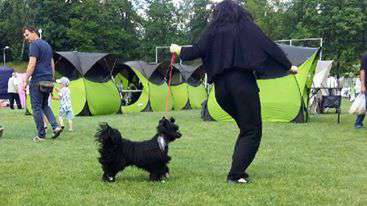 Blyskotliwy Nad Podziw Zaczarowany Flet