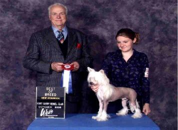 Kasma We Three Kings Of Jewels