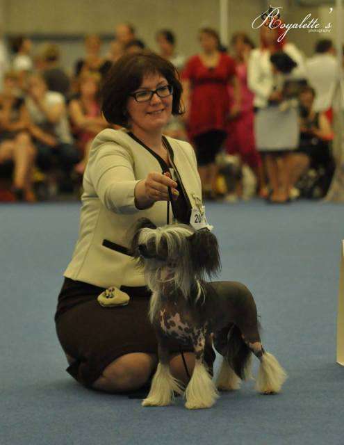 My Vanity Fair Lollobrigida