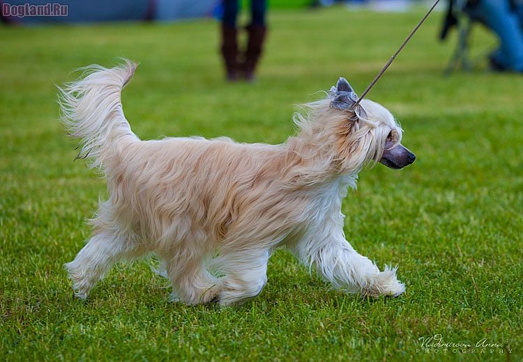 Olegro Katrin Keep On Joy