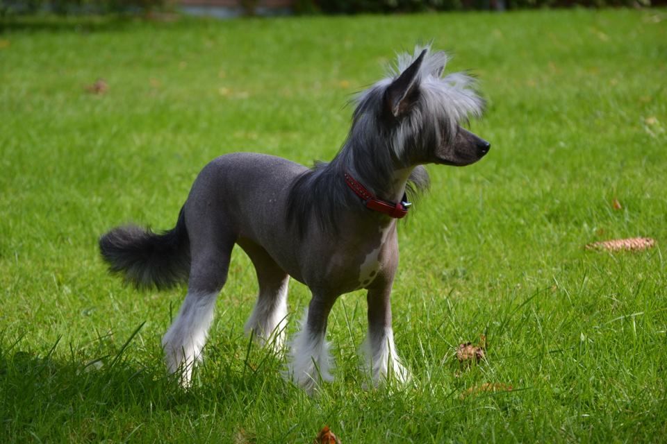 Mheleas Catch Me If You Can