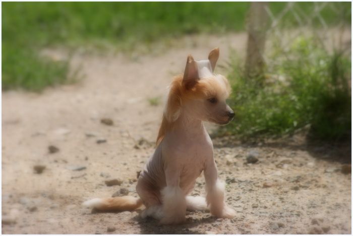 Houla Hoop du Coeur des Ténèbres
