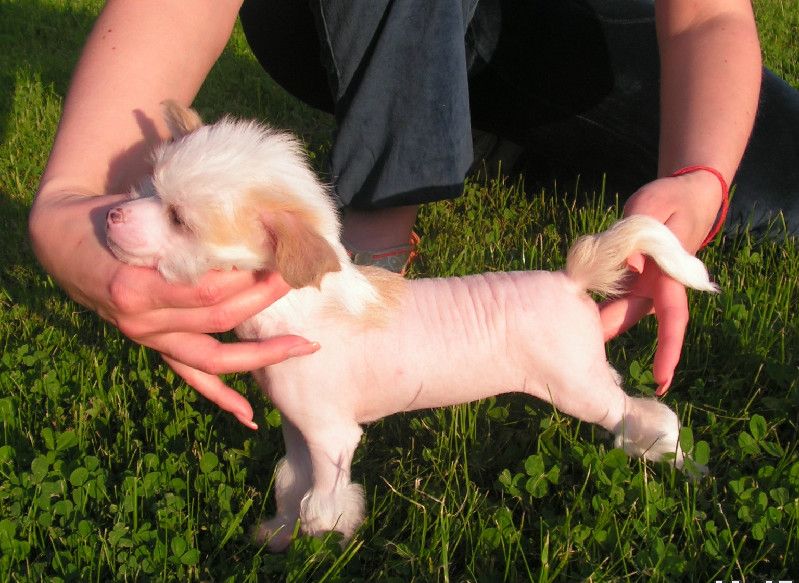 Orero Lovely Unique Award