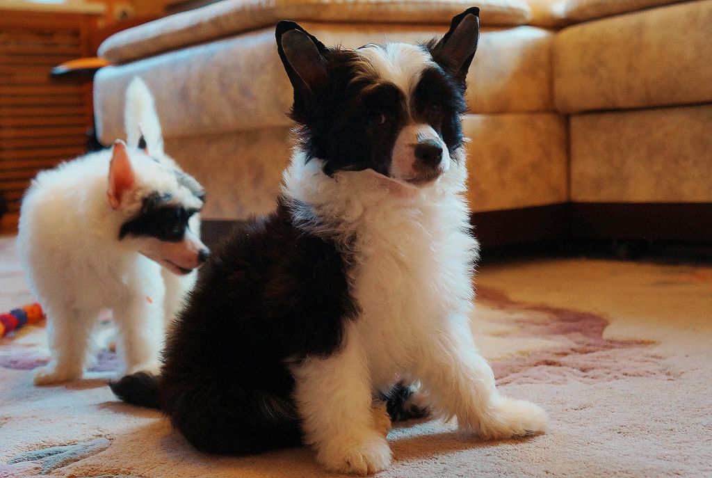 Kidsolarus Zhan Pol' Got'e