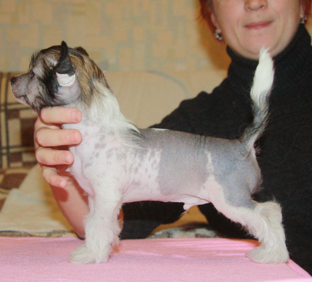 Zatary Iz Strany Kutha