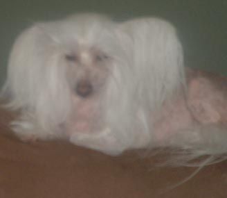 Mstic-Heart Pennies From Heaven