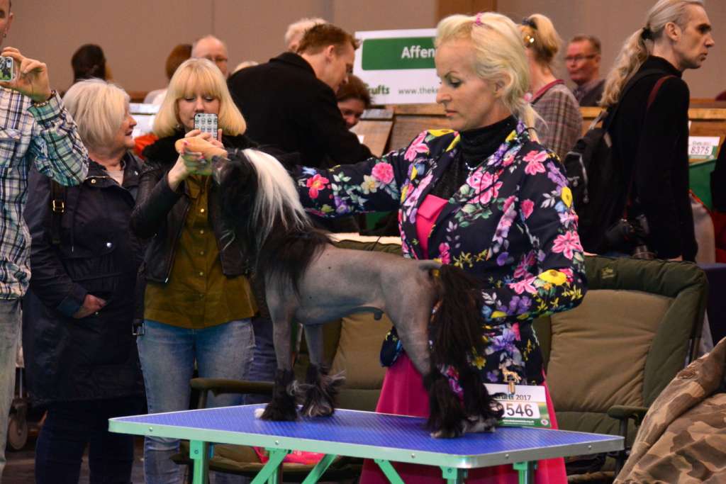 Aramis Modern family