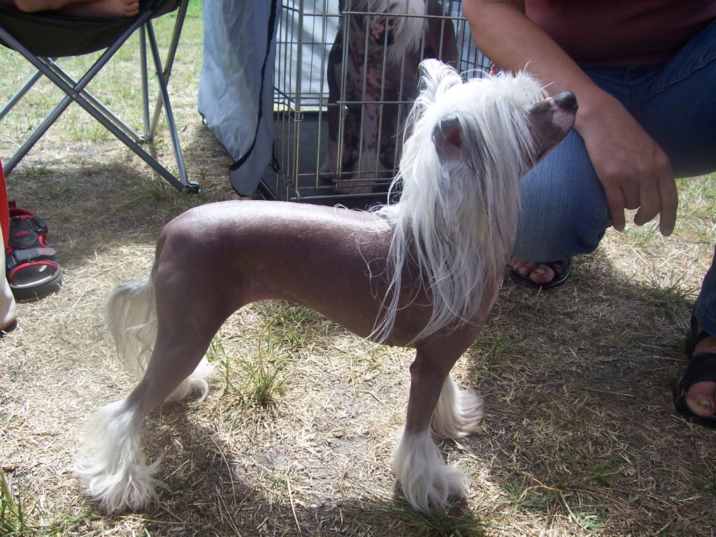 Moon Harbour Fairytale