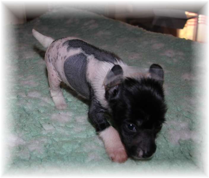 N'Meï Mei des Zéphyrs de l'Olympe