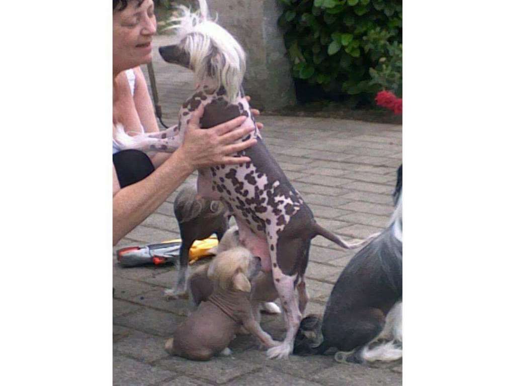 Fanny nino de la calle