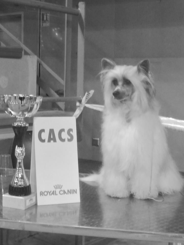 Fuhjy-san Du Coeur Des Tenebres