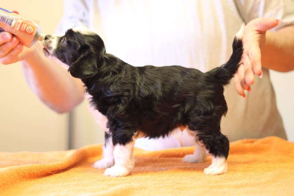 Luckytern Right Bye Your Side