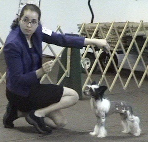 Save the Drama for N'Co