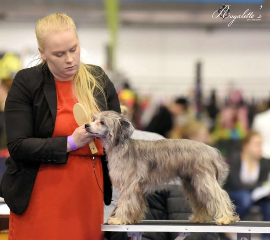 Kaitlin Night Sky Nannannaa