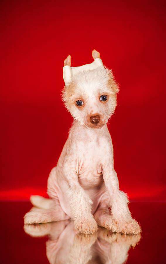 Egorka iz Serebryanogo Raya