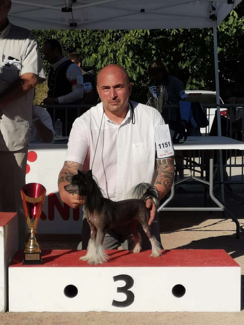 Wild Night's Shuriken