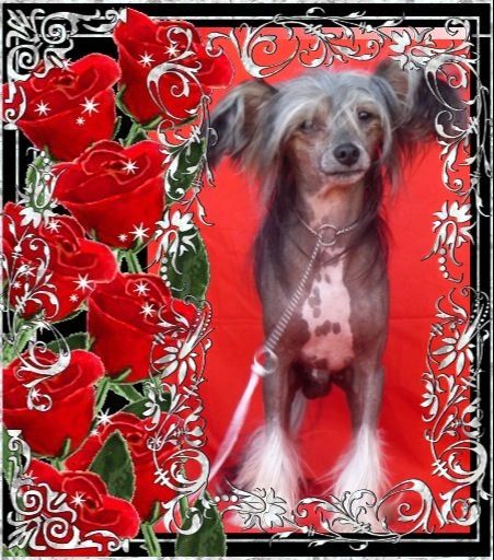 Razzmatazz Down Under Thunder (Imp USA)