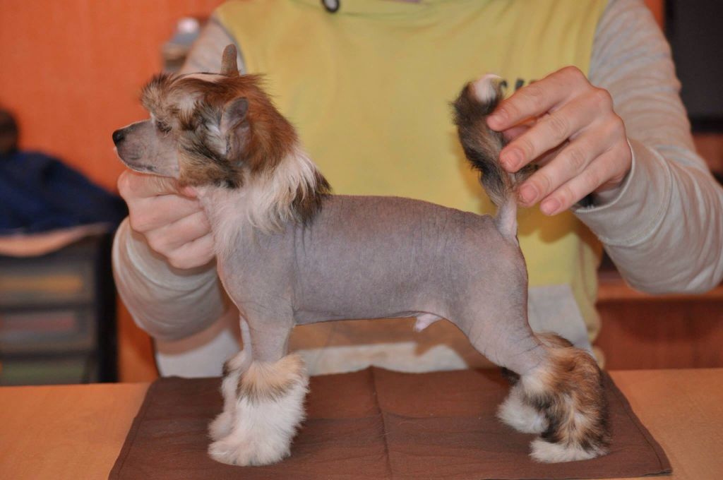 Nelson Born to Be the Best