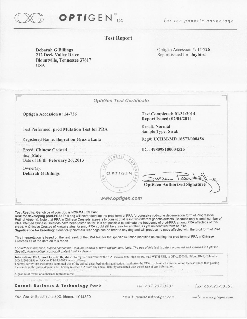 Bagration Grazia Laila