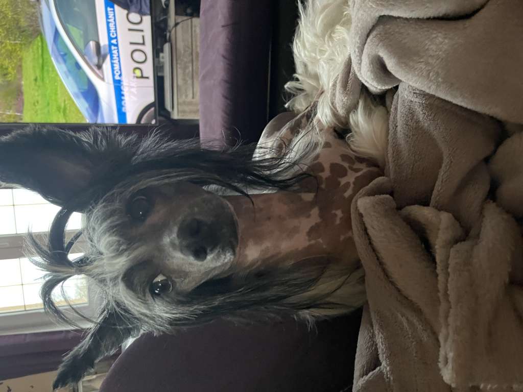 Aderito Sweet Dream River