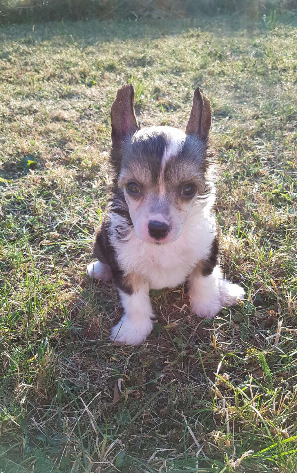 Myrtans One Way My Way