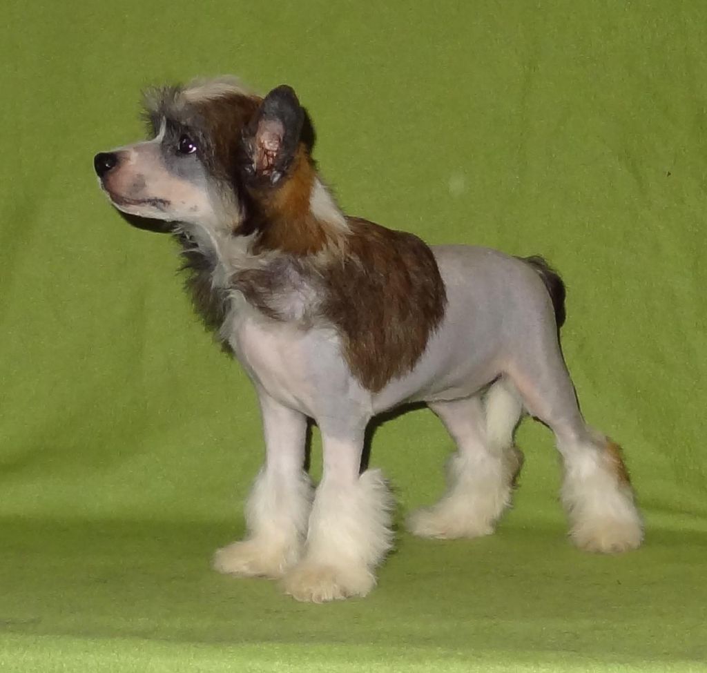 Naimuluna Line Mary Kay Esh