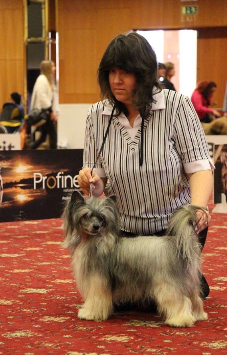 Caterham Shahrastani