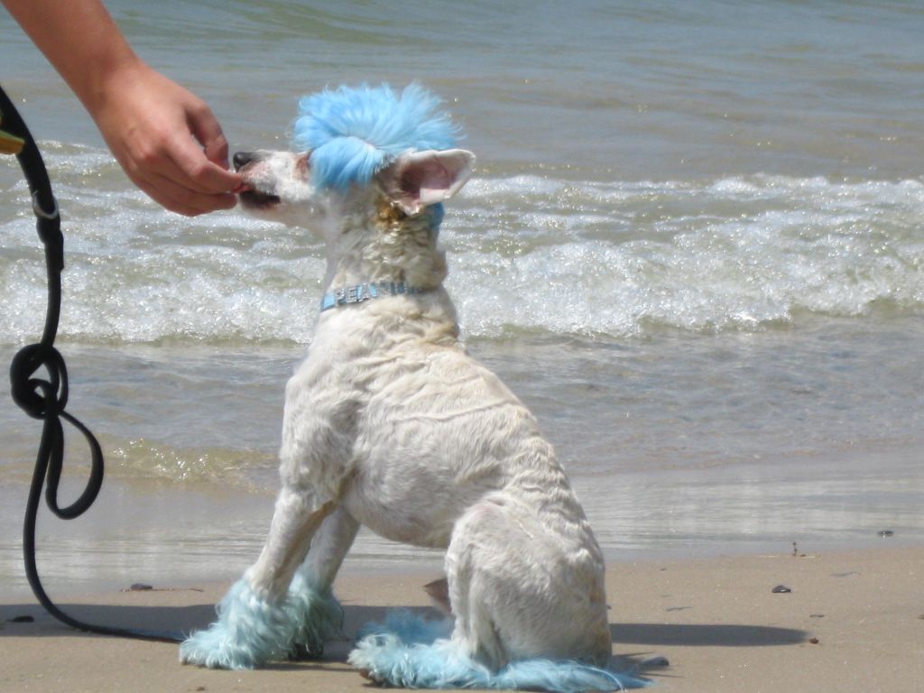 RaggleRocks Peanut ButterFly Kisses