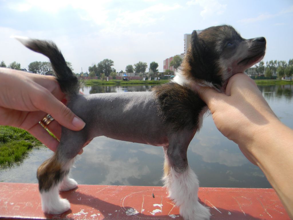 Melanies Rerity Uma Turman