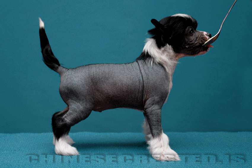 Practical Hero Security Breach