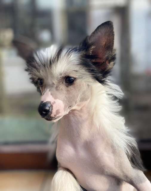 Higher Glow von Shinbashi