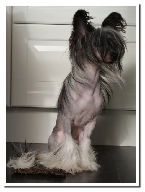 Way More Alert Than You