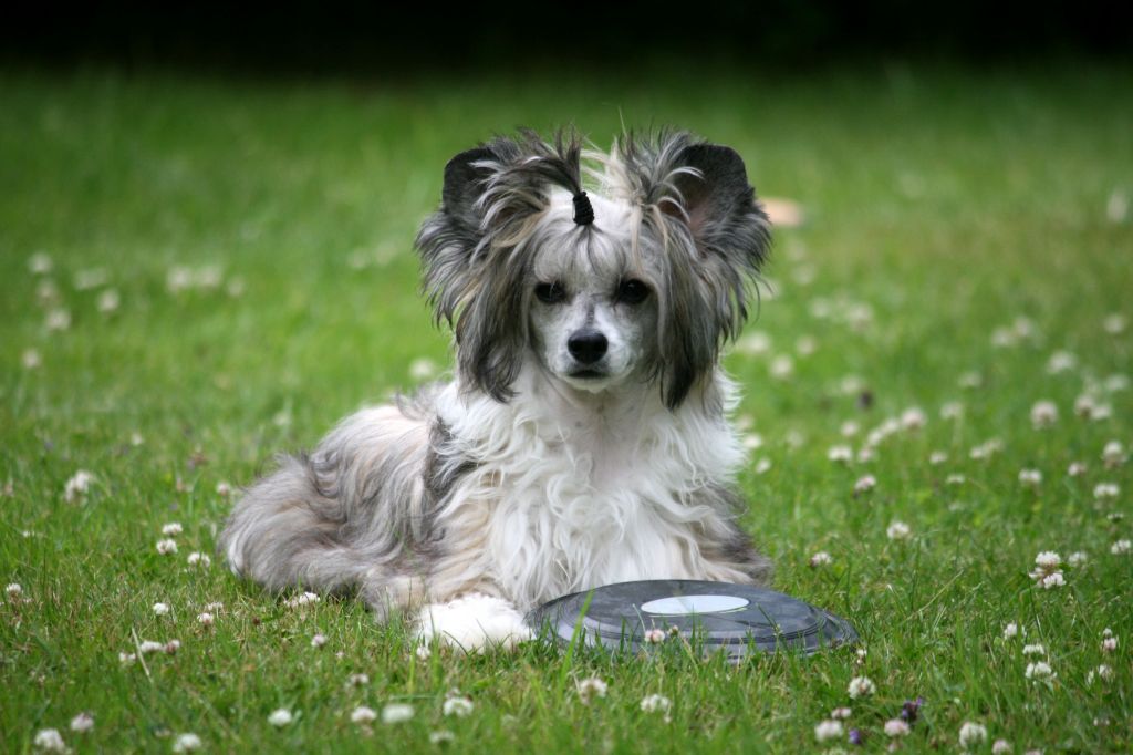 Sun-Hee's Rose Gold Strike