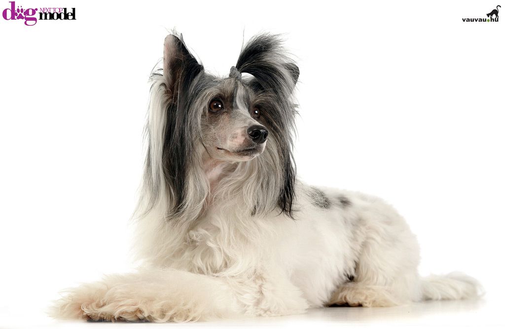 Always With You Mystic Fantastic