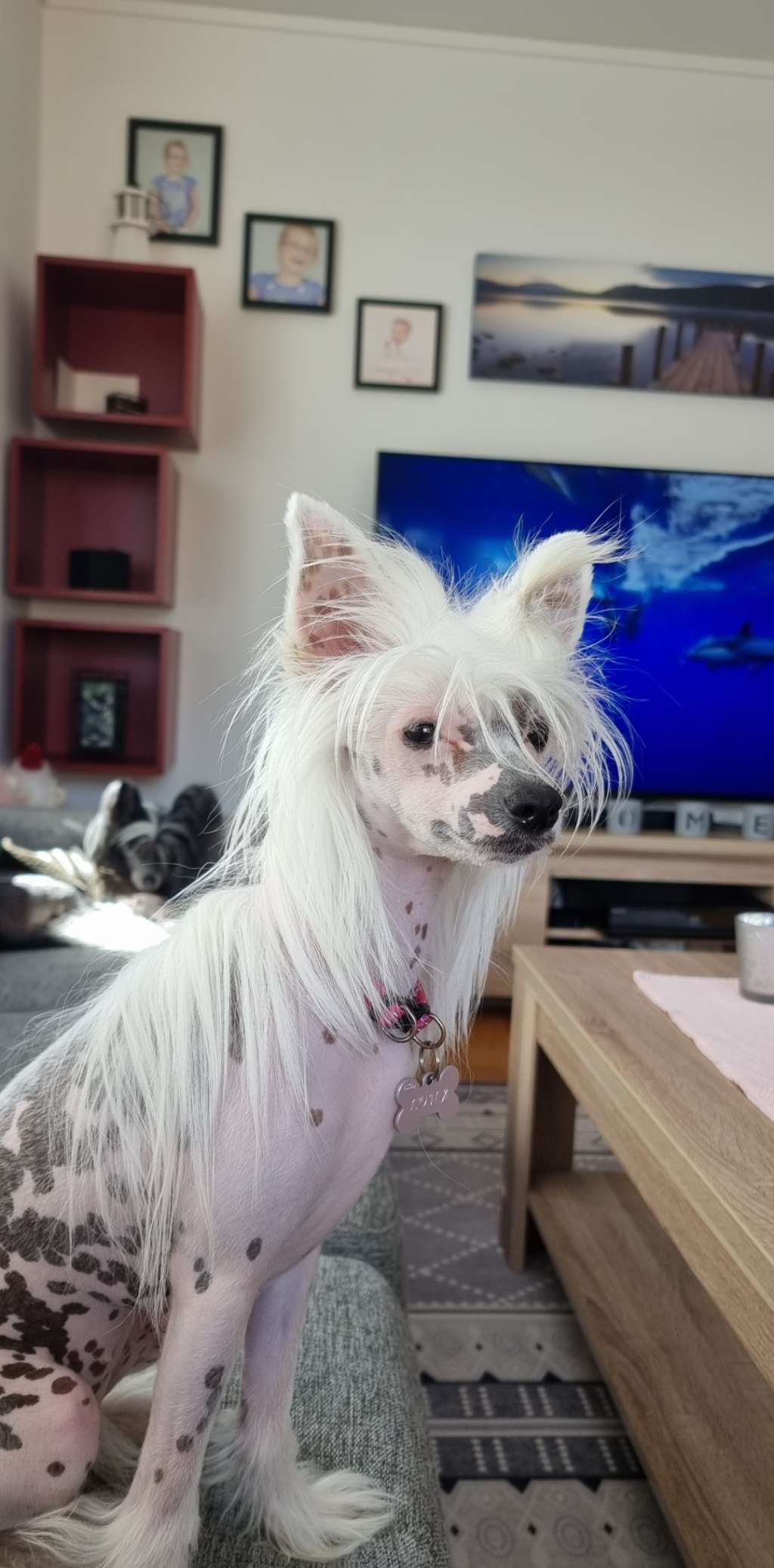 Cerohair because you're worth it