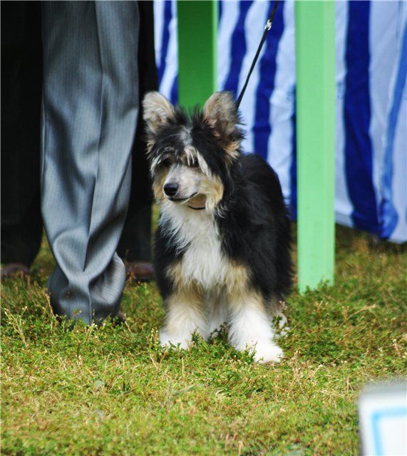 Grand Sunlife Iosif Irland